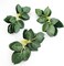 Artificial Green Leaves 35pcs Bulk Faux Silk Greenery Fake Rose Flower Leaves for DIY Wedding Bouquets Bridal Shower Centerpieces Home Decorations